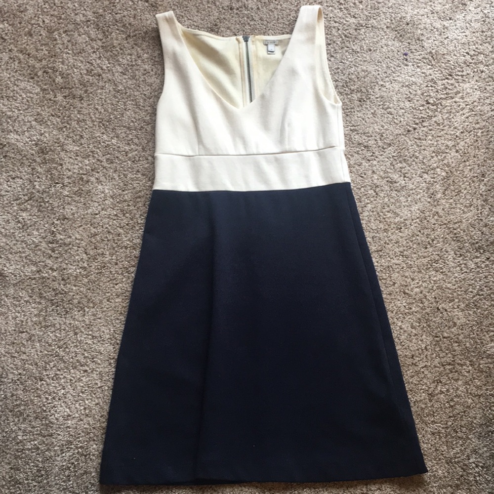 J. Crew dress